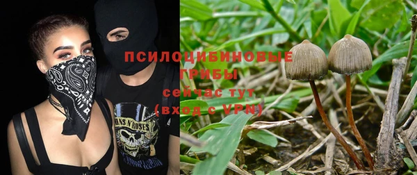 мескалин Нефтекумск