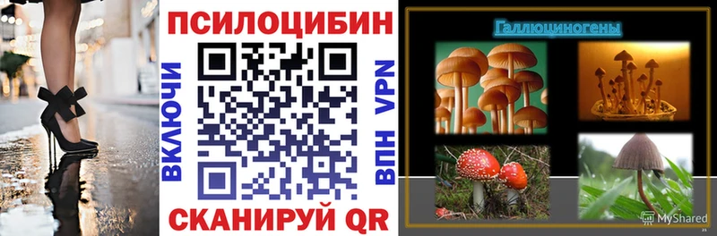 дарк нет какой сайт  Полевской  Псилоцибиновые грибы Psilocybe  купить   blacksprut как зайти 